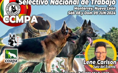SELECTIVO NACIONAL DE TRABAJO, CCMPA MONTERREY JUNIO 2024